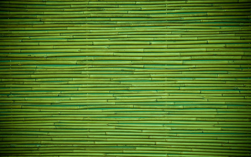 Bamboo texture, green, abstract, bamboo, texture, HD wallpaper