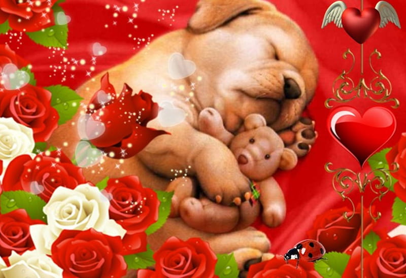 Endearment, red, puppie, rose, teddy, dog, HD wallpaper
