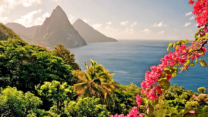 SAINT LUCIA COUNTRY in the CARIBBEAN ISLAND, mountain, ocean, peak, flowers, island, bougainvillea, HD wallpaper