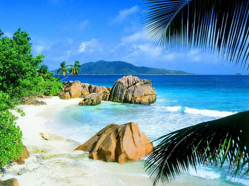 Tropical beach, rocks, shore, bonito, sea, palm trees, beach, stones, tropics, blue, exotic, ocean, relax, waves, palms, plants, summer, nature, tropical, sands, HD wallpaper