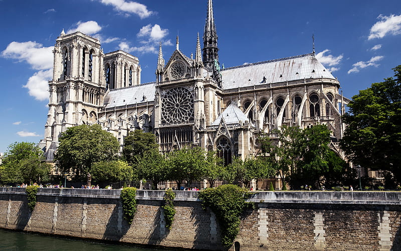 Notre Dame in Paris, France, France, cathedral, Notre Dame, Paris, HD wallpaper