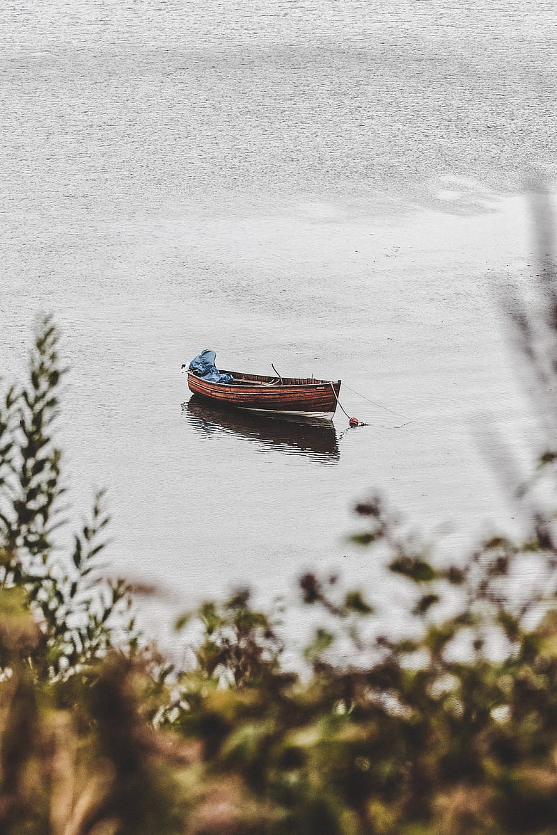 boat, lake, water, bushes, HD phone wallpaper