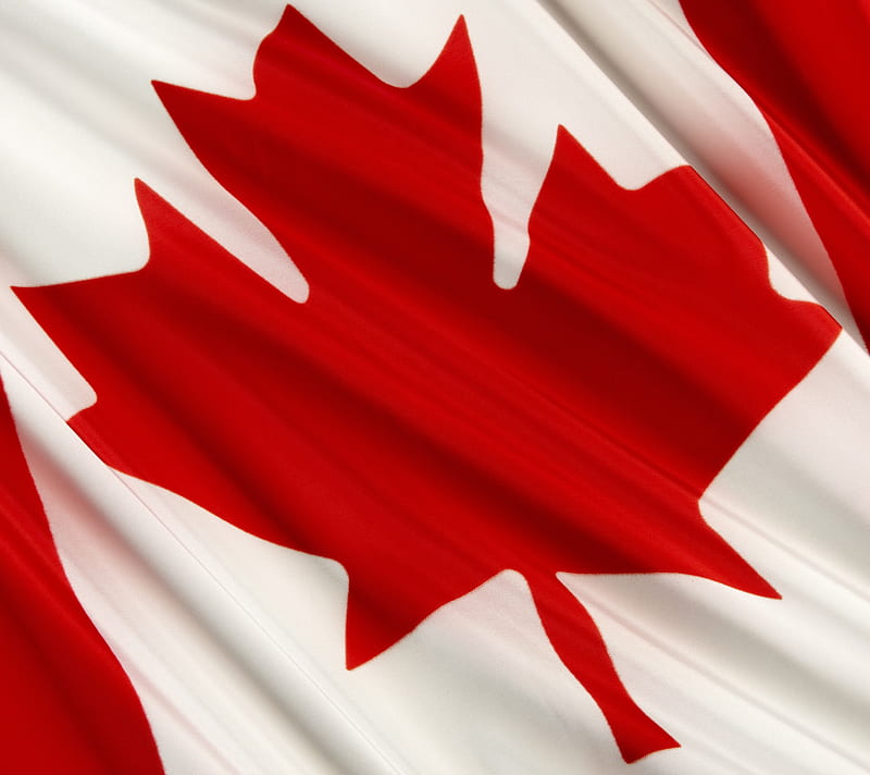 Canadian Flag, aliosha384, canada, canadian, flag, leaf, north america, red, white, HD wallpaper