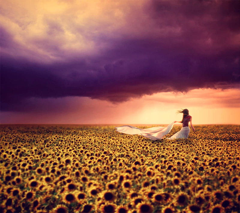 Sun Flowers, alone, girl, HD wallpaper | Peakpx