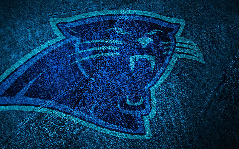 Carolina Panthers, professional, logo, leather, HD wallpaper