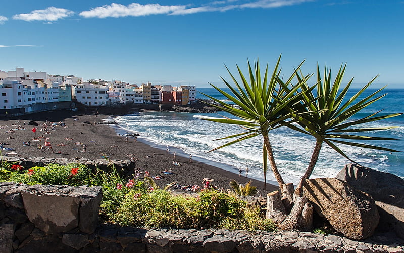 Beach in Tenerife, Spain, beach, Spain, sea, palms, HD wallpaper