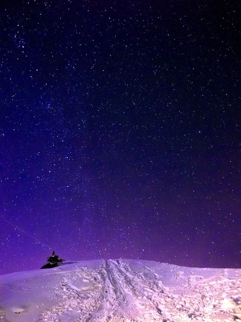 Slope at Night, amoled, milkyway, mountain, original, sky, snow, star, stars, tree, HD phone wallpaper