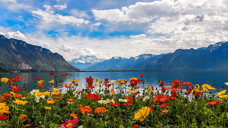 Alpine beauty, flowers, Montreux, Siwtzerland, sky, lake, Alps, view, bonito, clouds, mountain, Leman, HD wallpaper