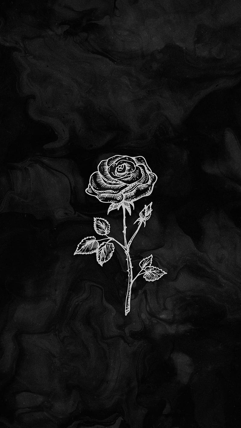 Black And White Rose, White Art Work, flower, HD phone wallpaper | Peakpx