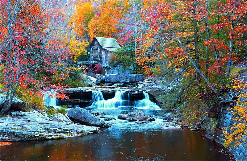 Forest waterfall, Fall, Forest, House, Stones, River, HD wallpaper