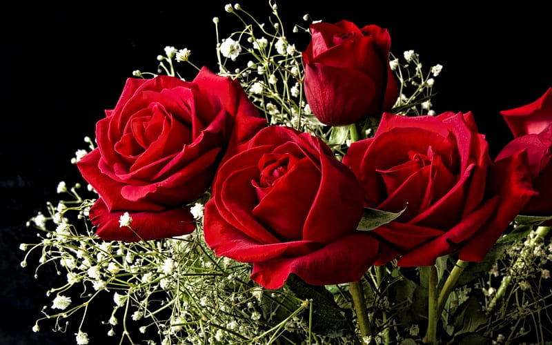 Ramo de rosas rojas, rojo, ramo, flores, naturaleza, rosas, Fondo de  pantalla HD | Peakpx