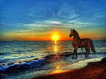 Bonito summer sunset horse girl HD wallpaper  Peakpx