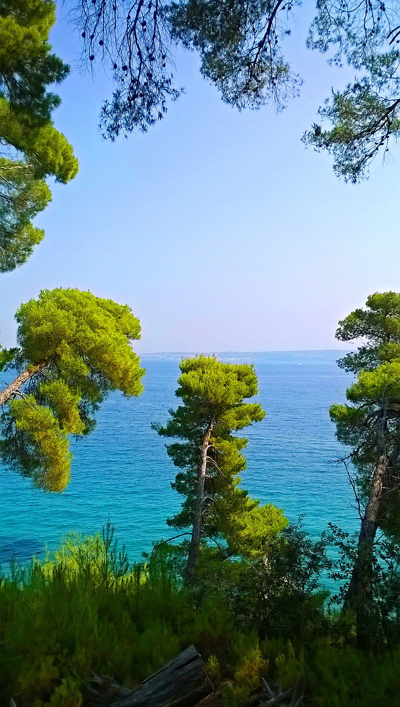 Croatian Trees, croatia, sea, summer, zadar, HD phone wallpaper