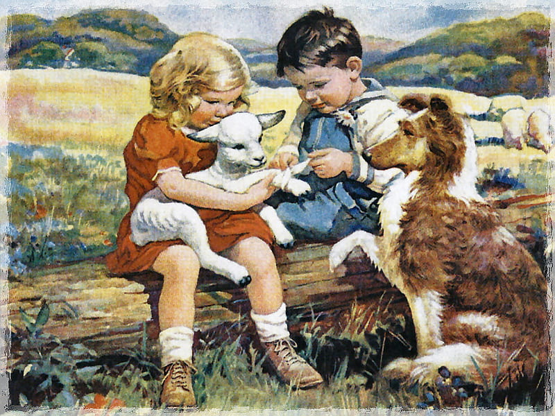 First Aid F2C, art, children, artwork, canine, animal, pet, painting, collie, lamb, dog, injury, HD wallpaper