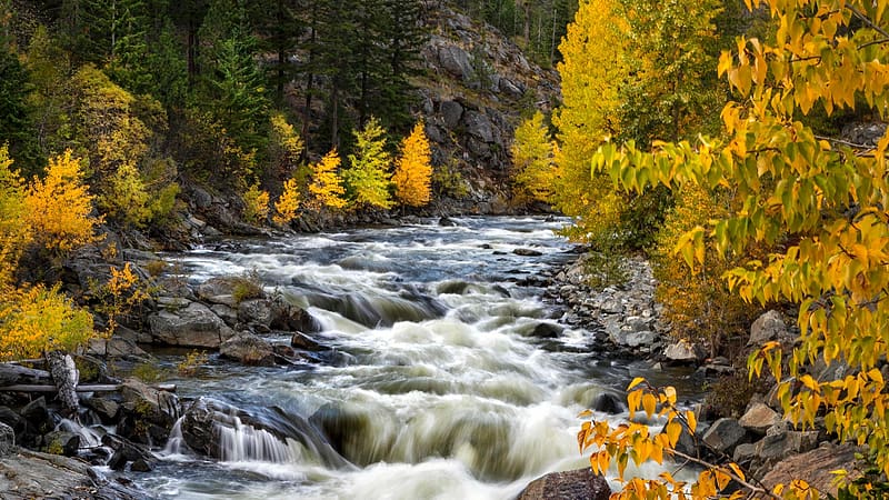 Wenatchee National Forest, Icicle Creek, Washington, forest, water ...