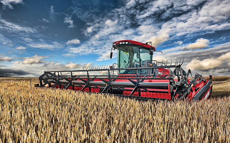 CASE IH DH253 harvest, 2019 combraines, agricultural machinery, Case DH303 Draper Headers, R, wheat harvest, combraine in the field, agriculture, Case, HD wallpaper
