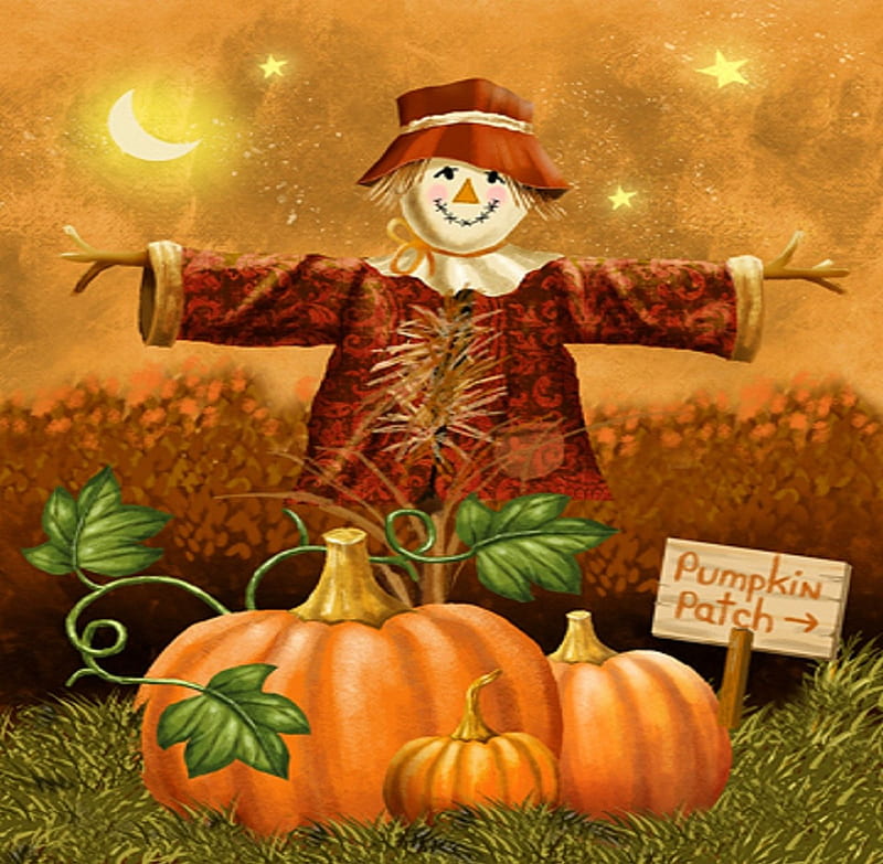 ★Pumpkin Patch★, pretty, fall season, autumn, lovely, colors, love four seasons, fun, creative pre-made, harvest time, cute, paintings, scarecrows, pumpkins, HD wallpaper