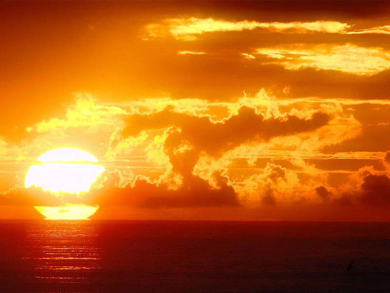 Redondo Beach Sunset, red, sun, brown, orange, ocean, yellow, bonito, sunset, sky, clouds, beach, water, reflection, HD wallpaper