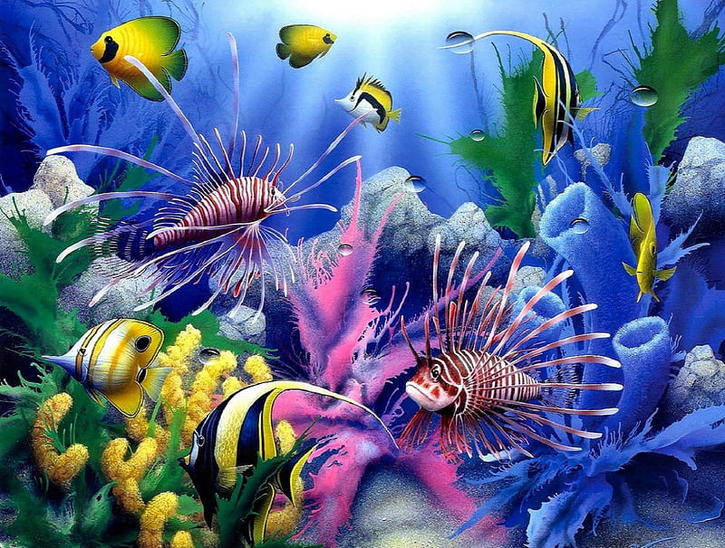★Wonderful the Seabed★, corals, pretty, colorful, oceans, attractions in dreams, bonito, paintings, sealife, animals, blue, underwater, fishes, lovely, colors, love four seasons, creative pre-made, seabed, nature, HD wallpaper