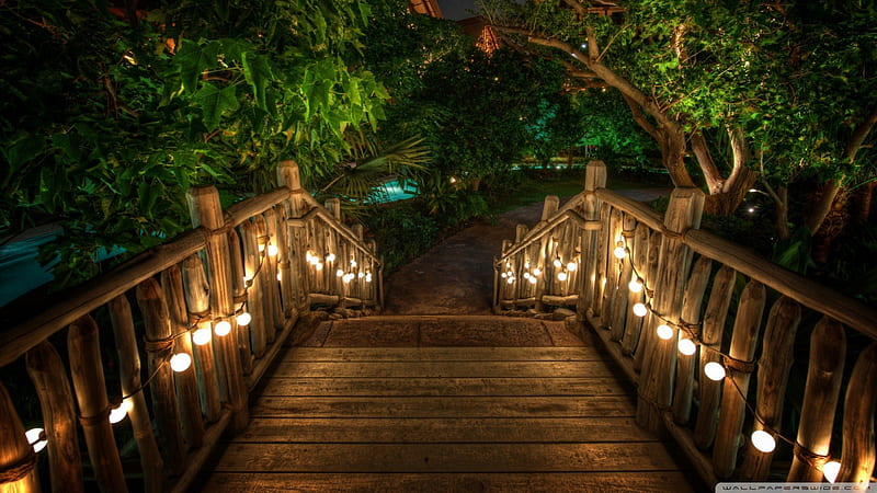 lovely wooden bridge, bridge, trees, pool, wooden, lights, HD wallpaper