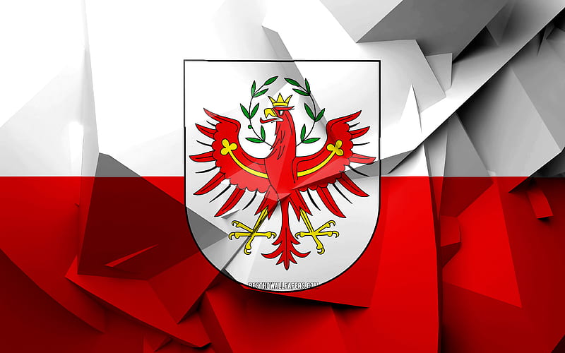 Flag of Tyrol, geometric art, States of Austria, Tyrol flag, creative, austrian states, Tyrol, administrative districts, Tyrol 3D flag, Europe, Austria, HD wallpaper