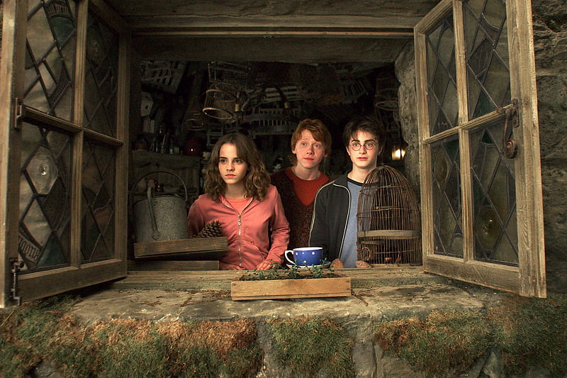 Harry Potter, Movie, Hermione Granger, Ron Weasley, Harry Potter And The Prisoner Of Azkaban, HD wallpaper