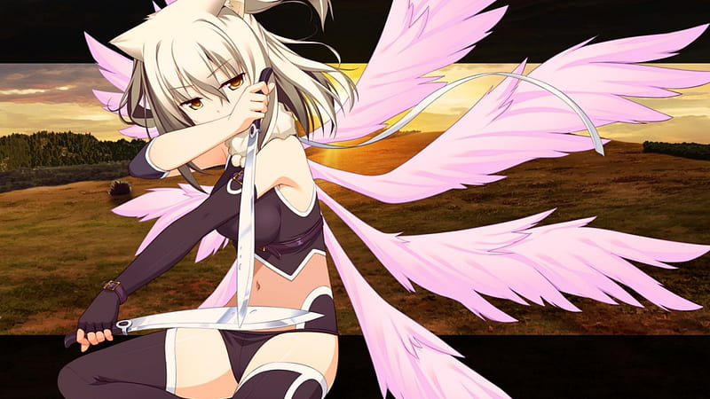 Beauty Angel Miko, Beauty Younger Sister, Game, Angel, New, Anime, Girl, Sister, Wall, Engless Dungeon, HD wallpaper