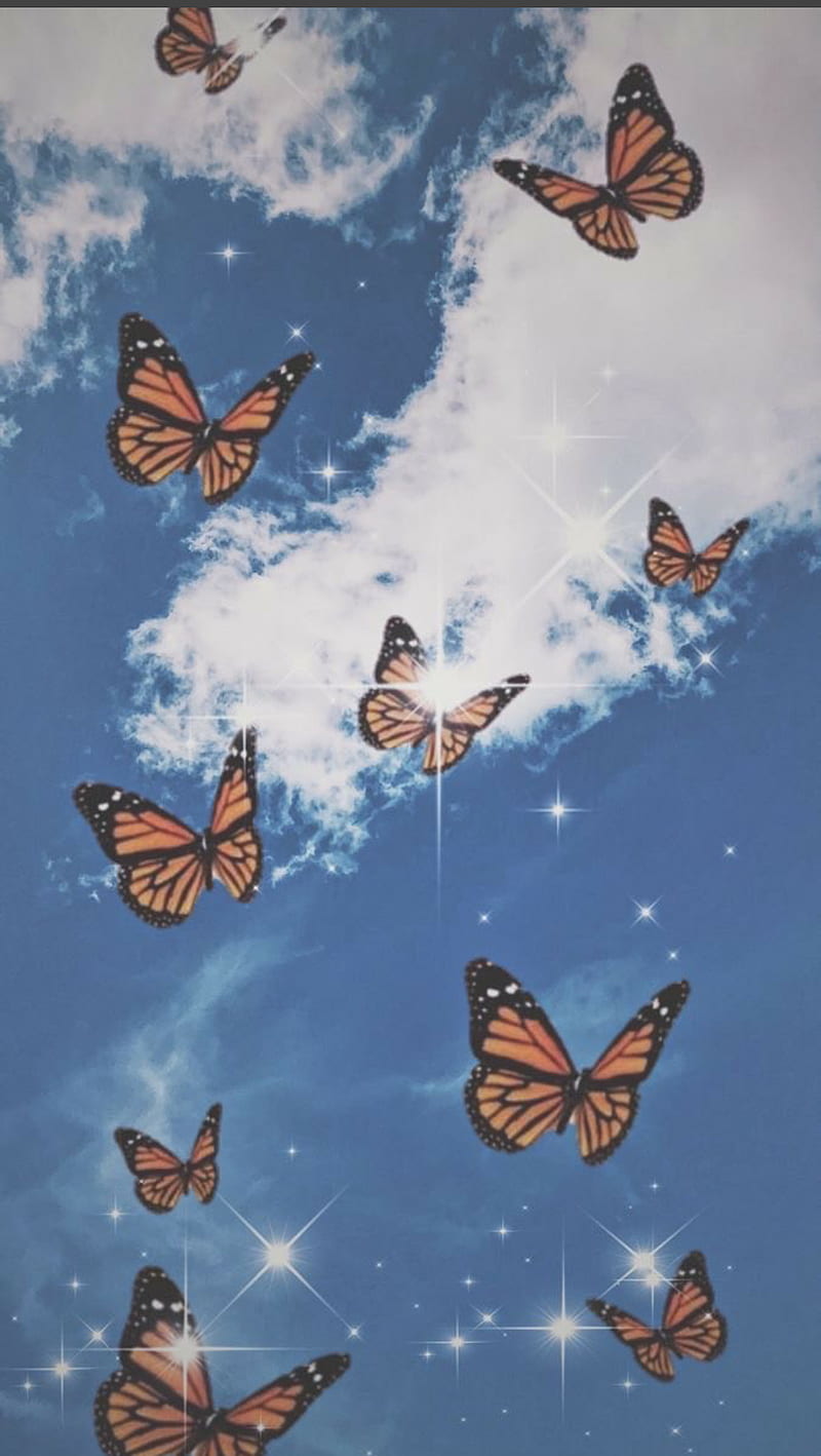 Mariposa 2, butterfly, wings, HD phone wallpaper | Peakpx