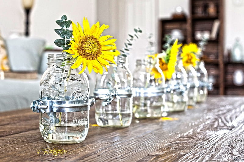 ░❀░, table, ideas, home, vase, decor, glass, interior decoration, sunflowers, jar, mason, r, jars, HD wallpaper