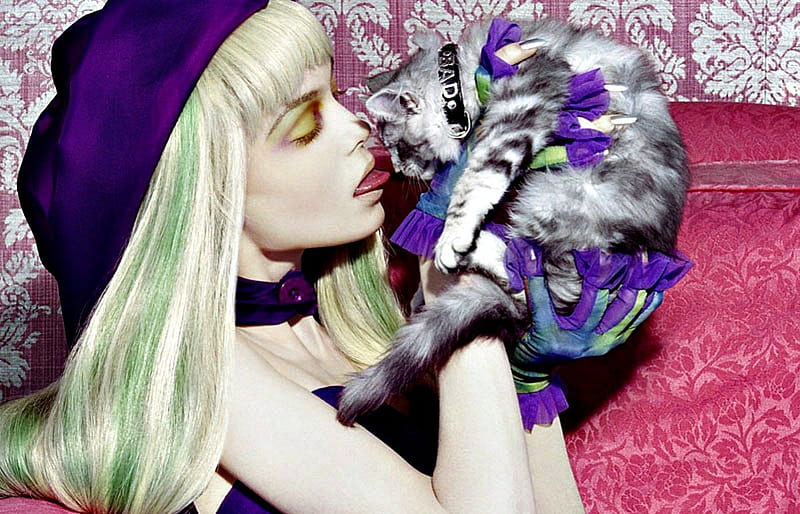Siri Tollerod, model, blonde, cat, woman, animal, hat, cute, gloves, girl, purple, pink, HD wallpaper