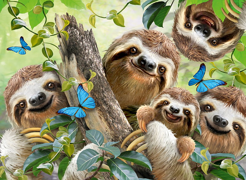 Sloth selfie, sloth, luminos, selfie, animal, fantasy, vara, butterfly ...