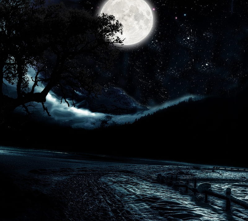 Moonlight, dark, in, moon, night, HD wallpaper