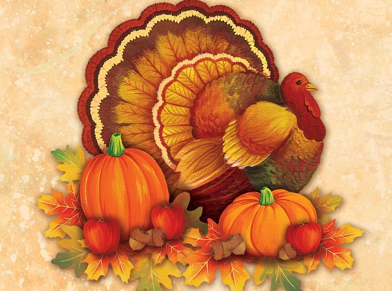 Thanksgiving Turkey, Fall, acorns, apples, nuts, leaves, Thanksgiving, turkey, Autumn, pumpkins, HD wallpaper