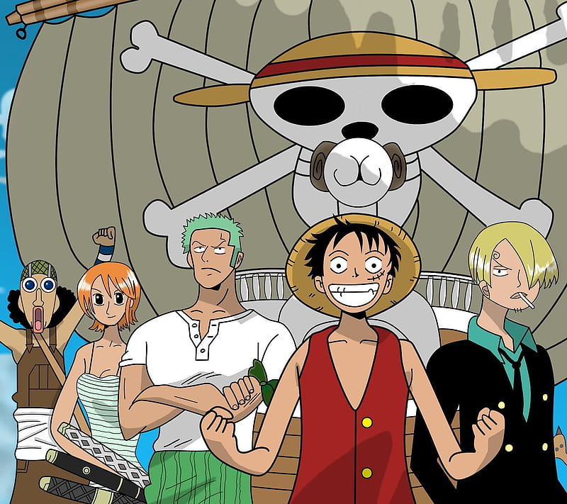 One Piece, 1p, anime, HD wallpaper | Peakpx