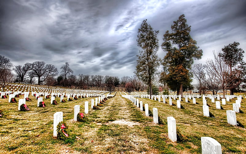 ENDLESS ROWS, skies, l cemetery military, nationa, trees, arlington, tombs, cemetry, HD wallpaper