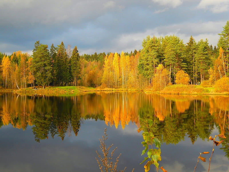 1080P free download | *** Autumn forest on the lake ***, forest, fall ...