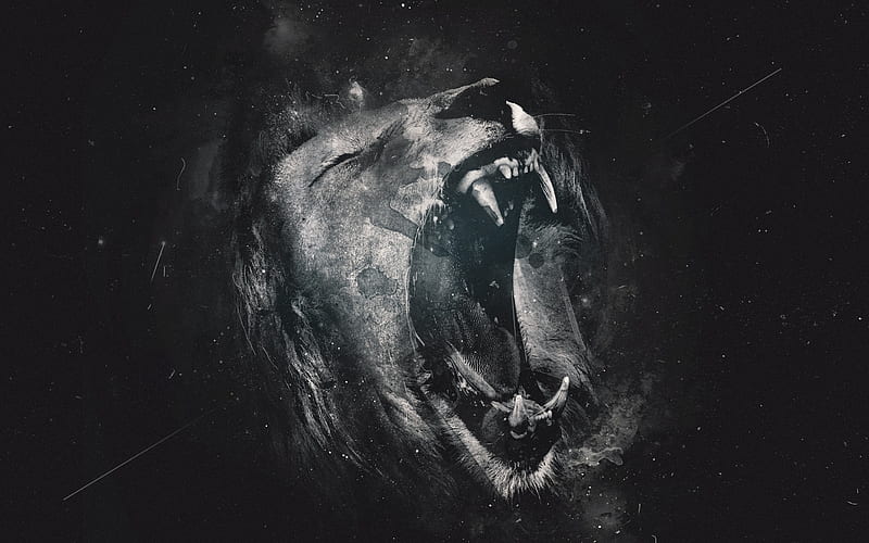 lion roar, monochrome, predator, big cats, Animal, HD wallpaper