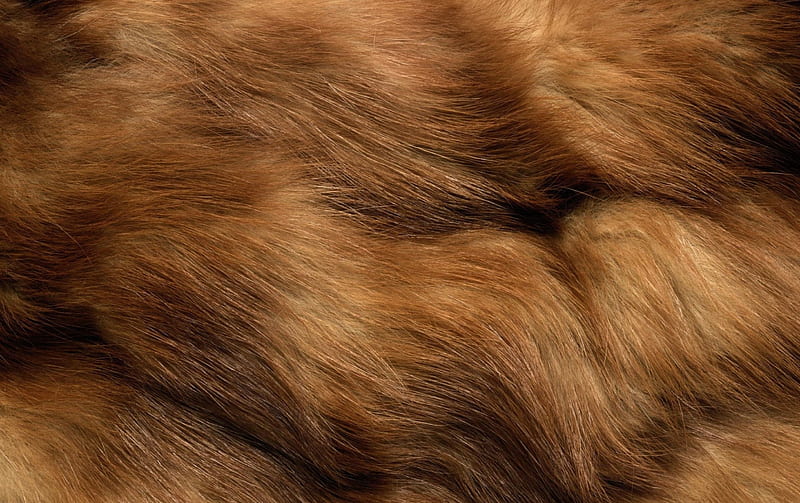 Fur, pattern, brown, texture, abstract, HD wallpaper