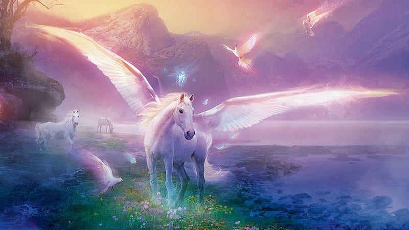 White Unicorn With Wings Unicorn, HD wallpaper