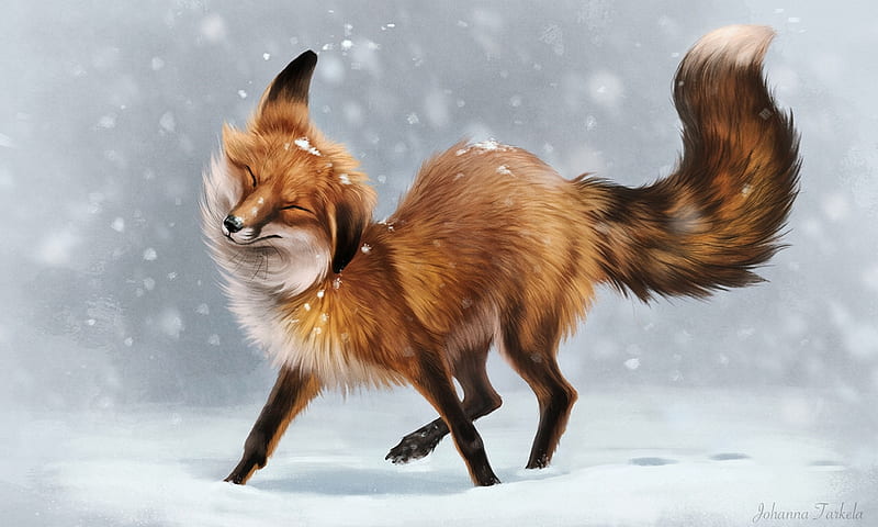 Fox Drawing, Arctic fox, Red fox, fox, Chibi, Whiskers, digital Art, Fan  art, snout, dog Like Mammal | Anyrgb
