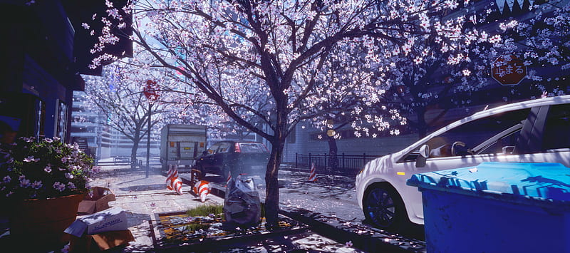 anime city, spring, cherry blossom, Anime, HD wallpaper