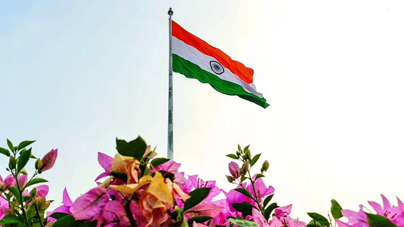 Tiranga DP & Indian National Flag for Online: Set Tricolour Flag As Profile of All Social Media Platforms, 2022 indian flag, HD wallpaper