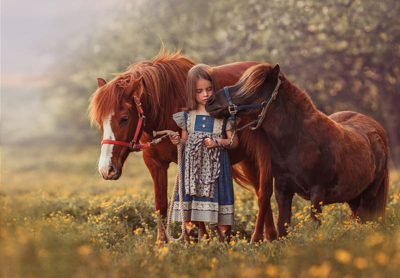 little girl, pretty, grass, adorable, sightly, sweet, nice, beauty, face, child, bonny, lovely, pure, blonde, baby, cute, 2 horses, white, Hair, little, Nexus, bonito, dainty, kid, graphy, fair, Horse, green, people, pink, Belle, comely, roses, girl, Fields, nature, Tree, childhood, HD wallpaper
