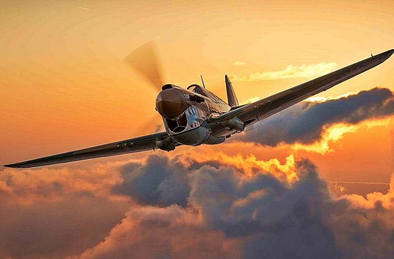 P-40, Flying Tiger, Warhawk, Warbird, HD wallpaper