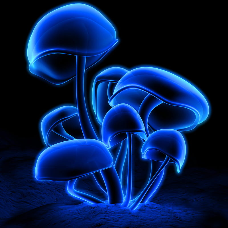 Neon Blue, abstract, mushrooms, HD phone wallpaper