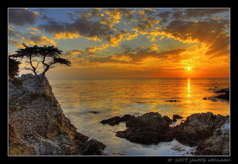 Sunset at the lone Cypress, sunset, nature, cypress, sea, HD wallpaper