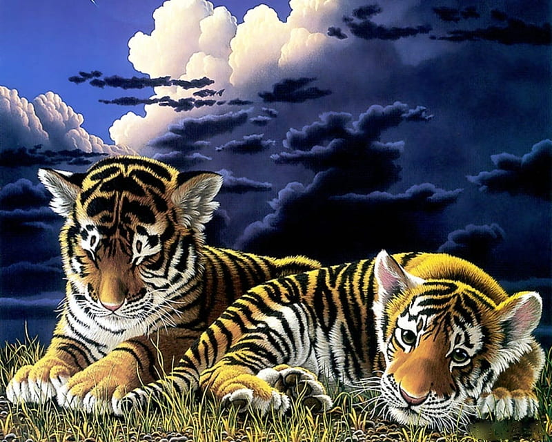 Fantasy Tiger, Blau, Himmel, Tiger, Deutschland, HD wallpaper
