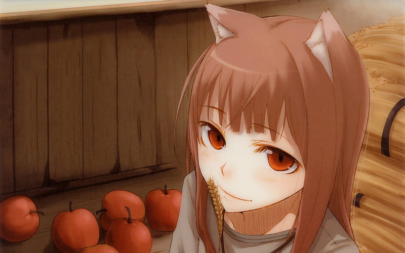 Spice And Wolf Wolfgirl Horo Wheat Apples Cute Kawaii Wolf Girl Holo Hd Wallpaper Peakpx