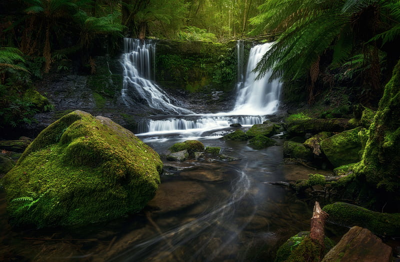 Waterfalls Stones , waterfall, forest, nature, HD wallpaper
