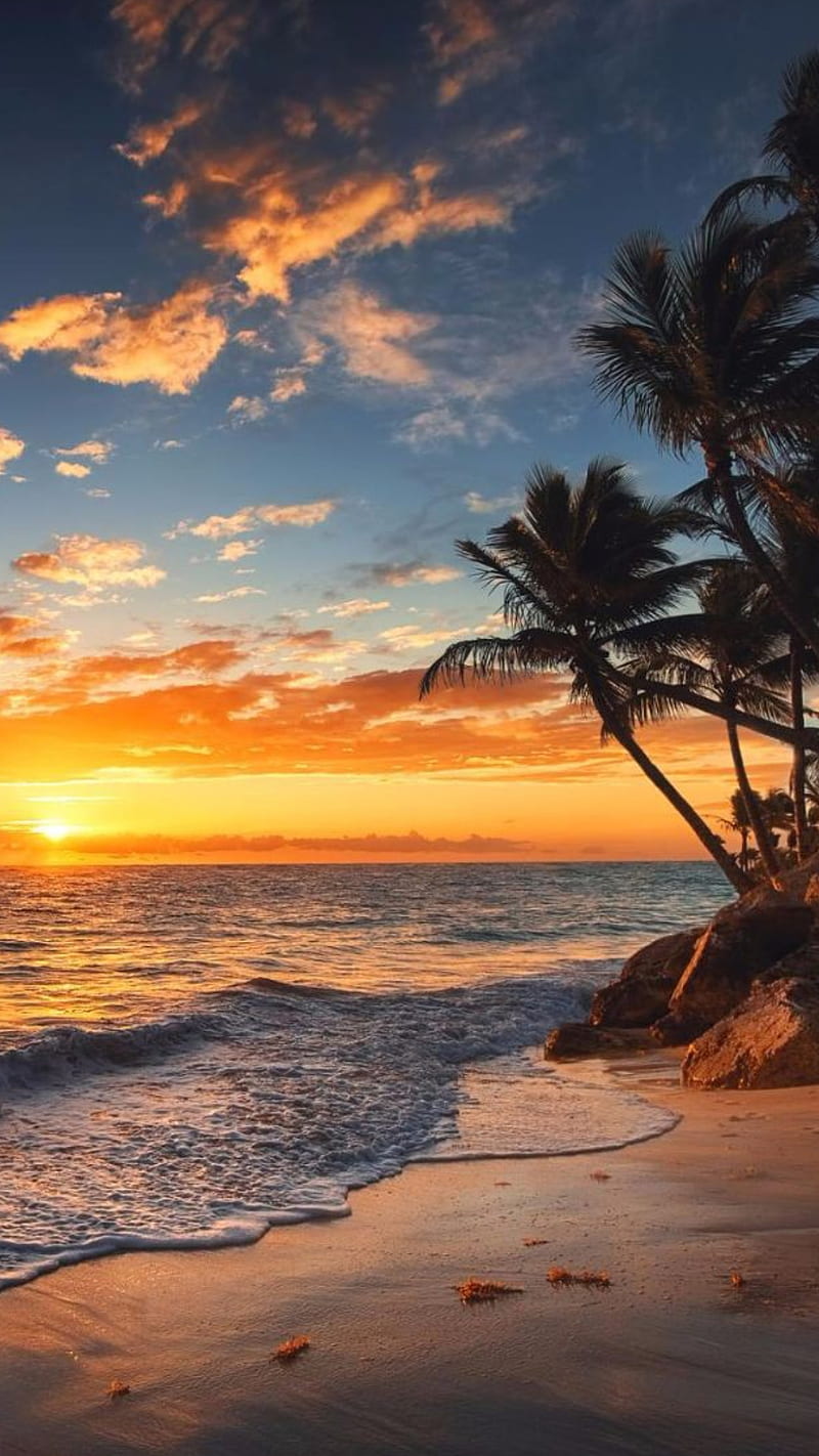 Paradise, beach, landscape, sunset, tropical, HD phone wallpaper | Peakpx